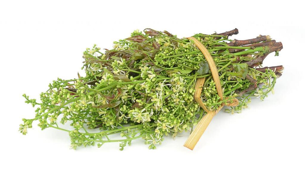 Herbas medicinais para eliminar onicomicose